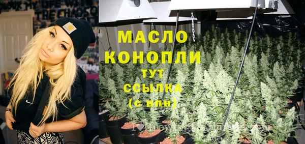 крисы Новозыбков