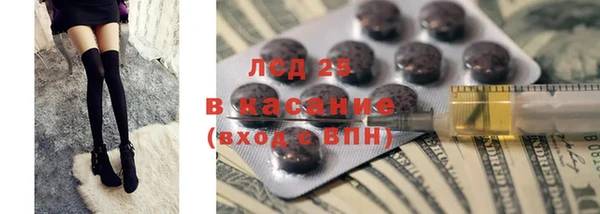 крисы Новозыбков