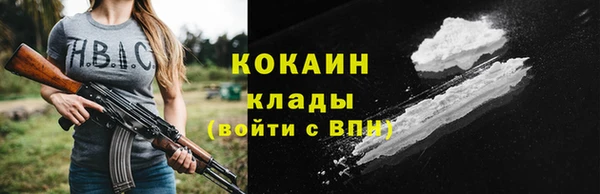 крисы Новозыбков