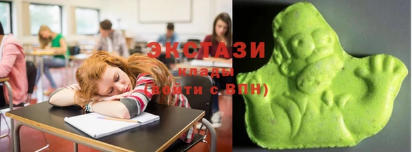 СК Новодвинск