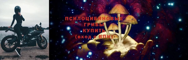 герыч Новокубанск