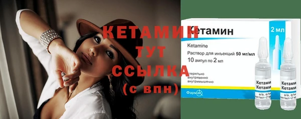 крисы Новозыбков