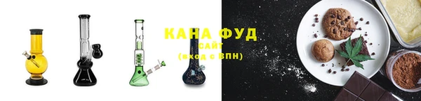 СК Новодвинск