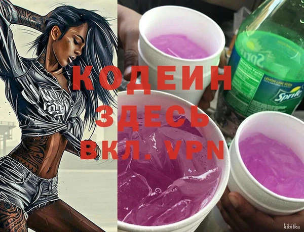 СК Новодвинск