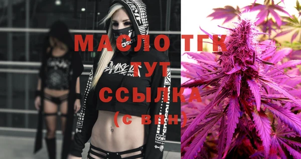 крисы Новозыбков