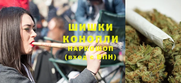 крисы Новозыбков