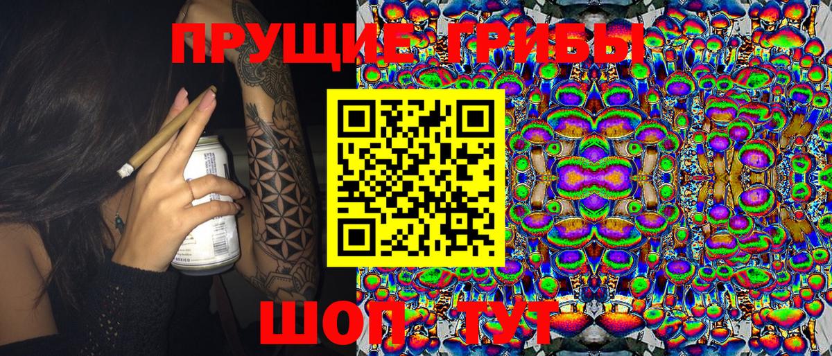 Скопин  Псилоцибиновые грибы Psilocybe  Вход с VPN 