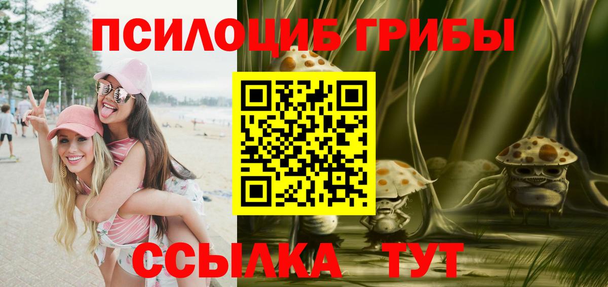 Псилоцибиновые грибы Psilocybe Скопин